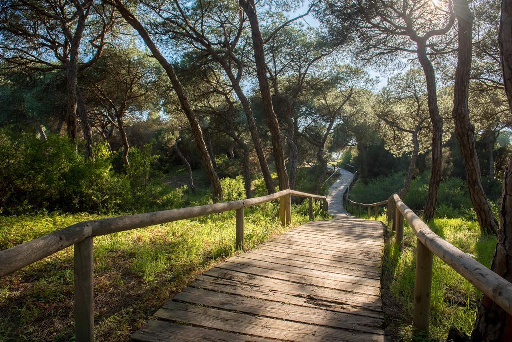 Apartamentos Costa Luz Punta Umbría Eksteriør billede