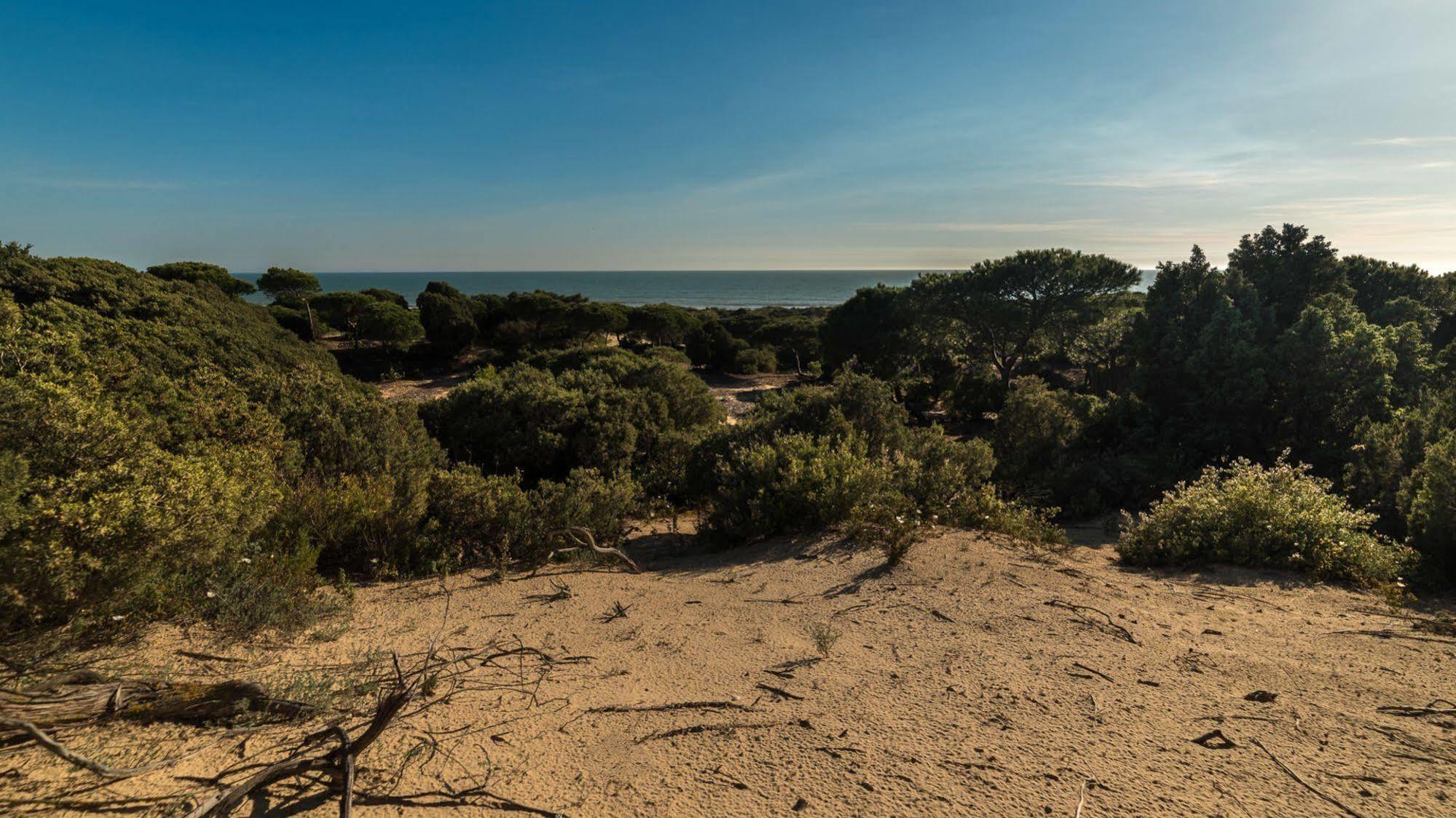 Apartamentos Costa Luz Punta Umbría Eksteriør billede